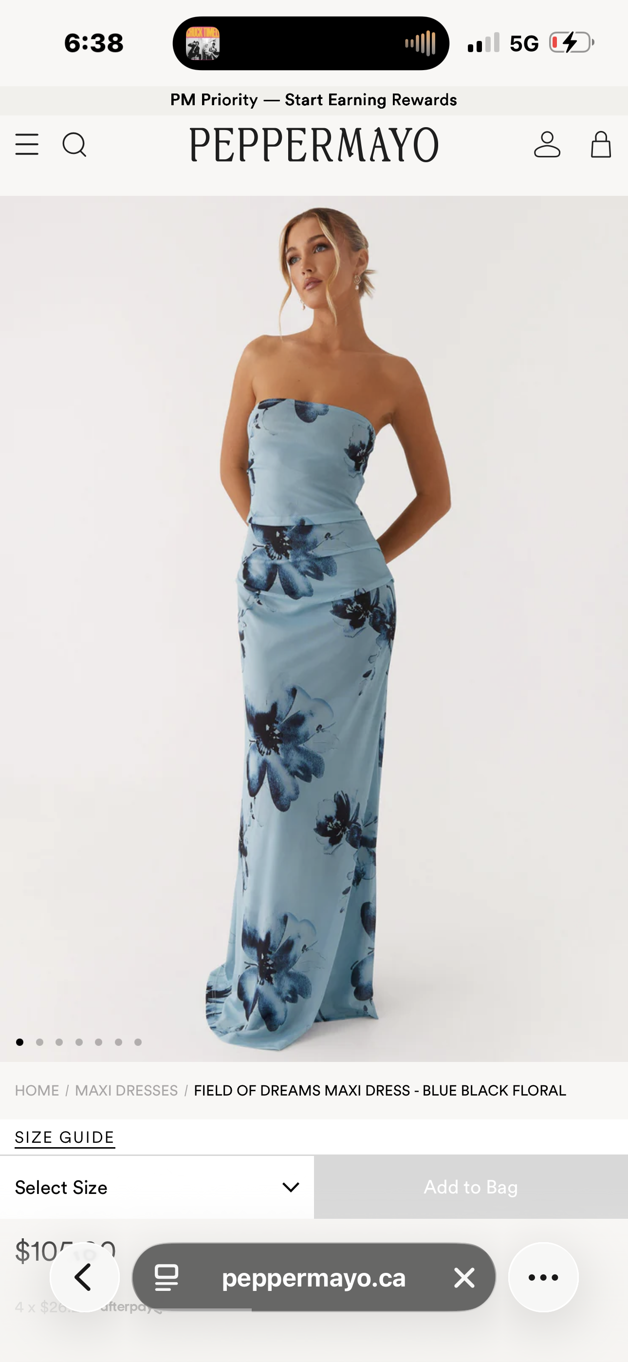 Peppermayo “Field of Dreams” Strapless Maxi Dress
Blue Floral | Size Small