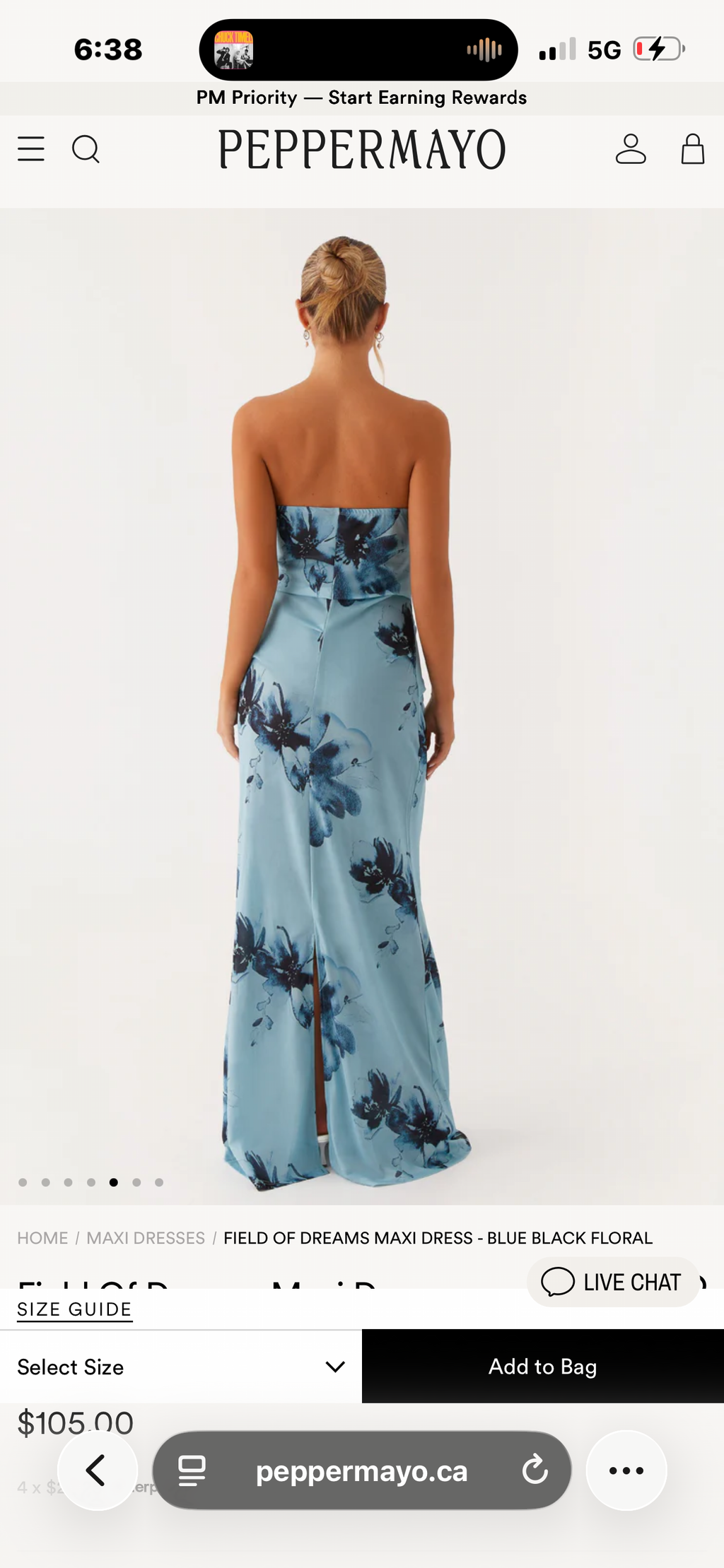 Peppermayo “Field of Dreams” Strapless Maxi Dress
Blue Floral | Size Small