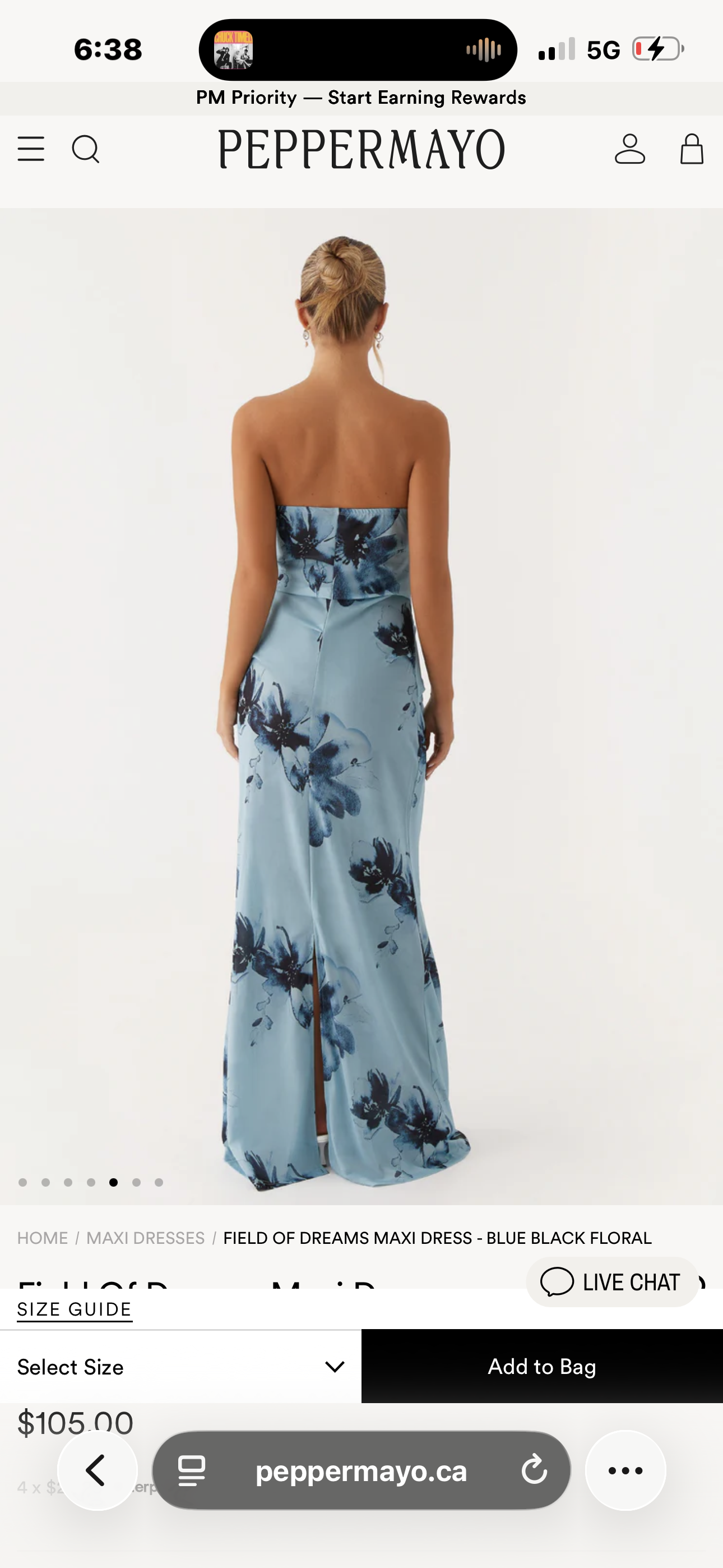 Peppermayo “Field of Dreams” Strapless Maxi Dress
Blue Floral | Size Small