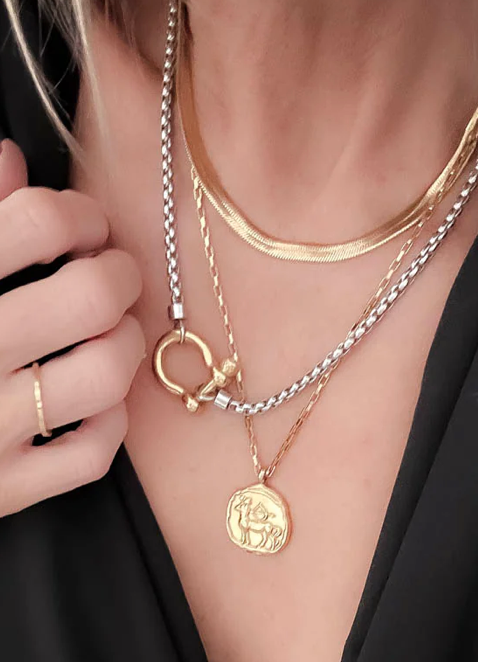 Jewelry Carabiner horse Bit- Charm-Wheat Chain Stainless Necklace: Two Tone