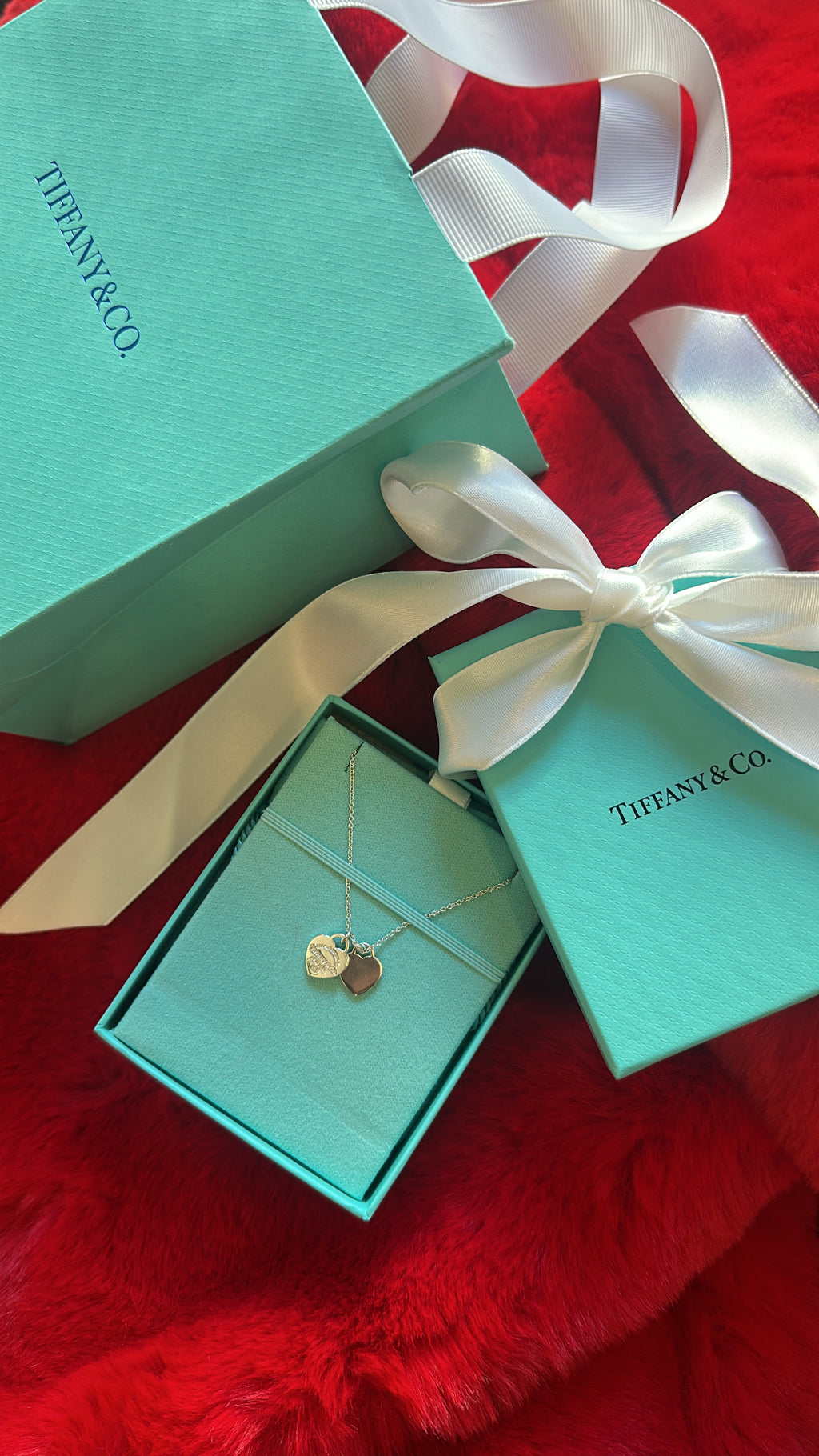 Tiffany & Co. Double Heart Tag Pendant in Silver, Mini