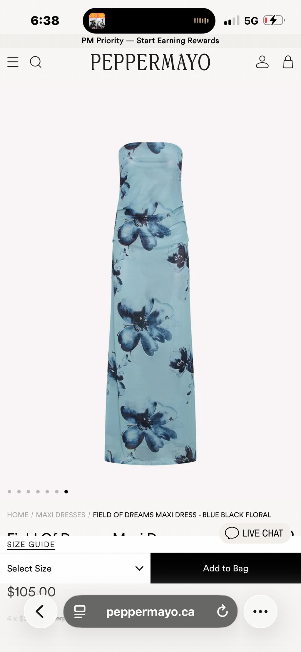 Peppermayo “Field of Dreams” Strapless Maxi Dress
Blue Floral | Size Small
