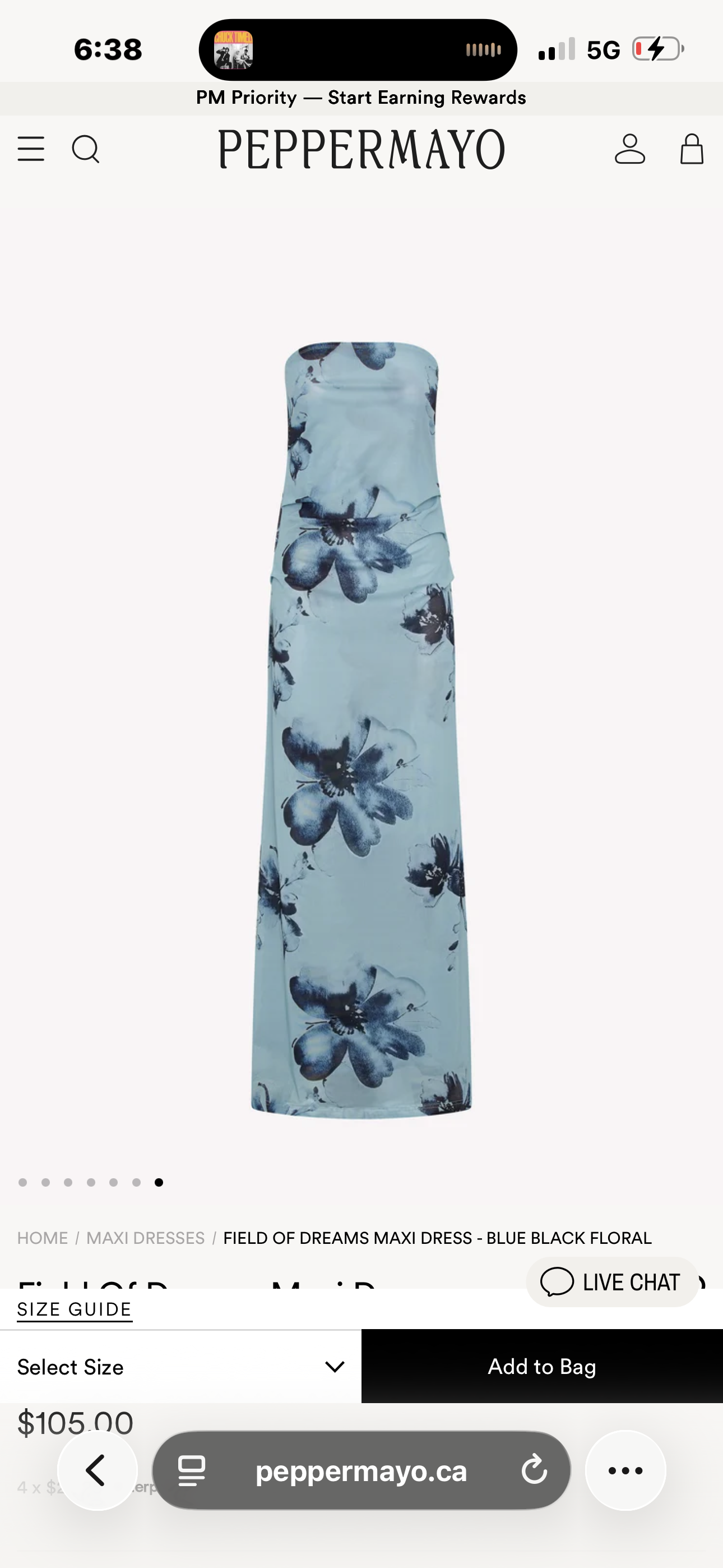 Peppermayo “Field of Dreams” Strapless Maxi Dress
Blue Floral | Size Small