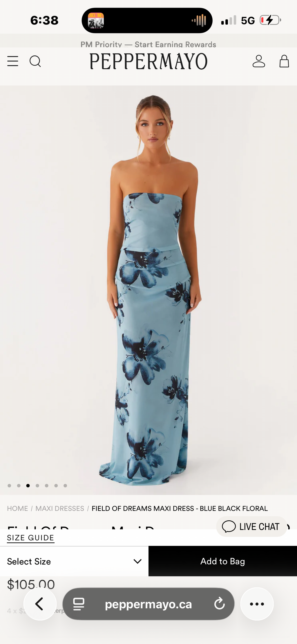 Peppermayo “Field of Dreams” Strapless Maxi Dress
Blue Floral | Size Small