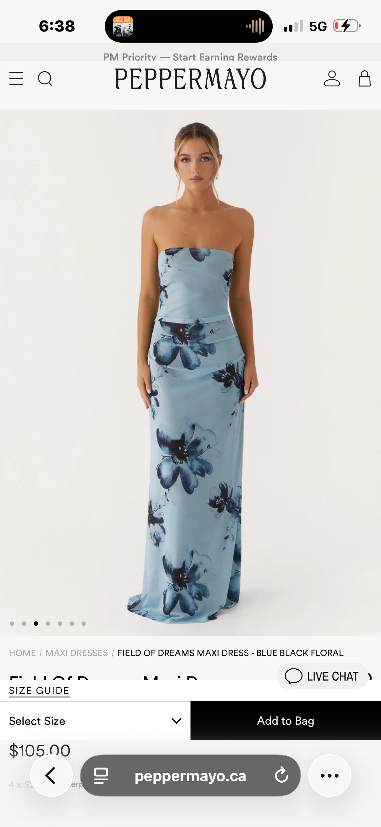 Peppermayo “Field of Dreams” Strapless Maxi Dress
Blue Floral | Size Small