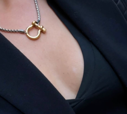 Jewelry Carabiner horse Bit- Charm-Wheat Chain Stainless Necklace: Two Tone