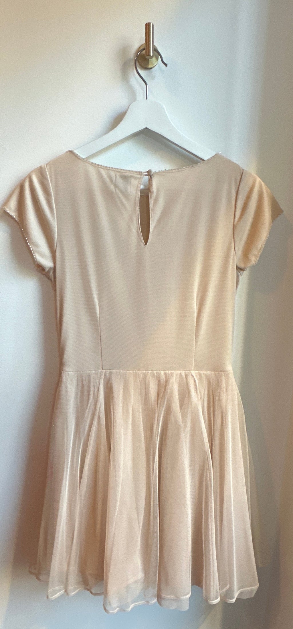 ASOS Sequin Appliqué Tulle Dress — Size 6