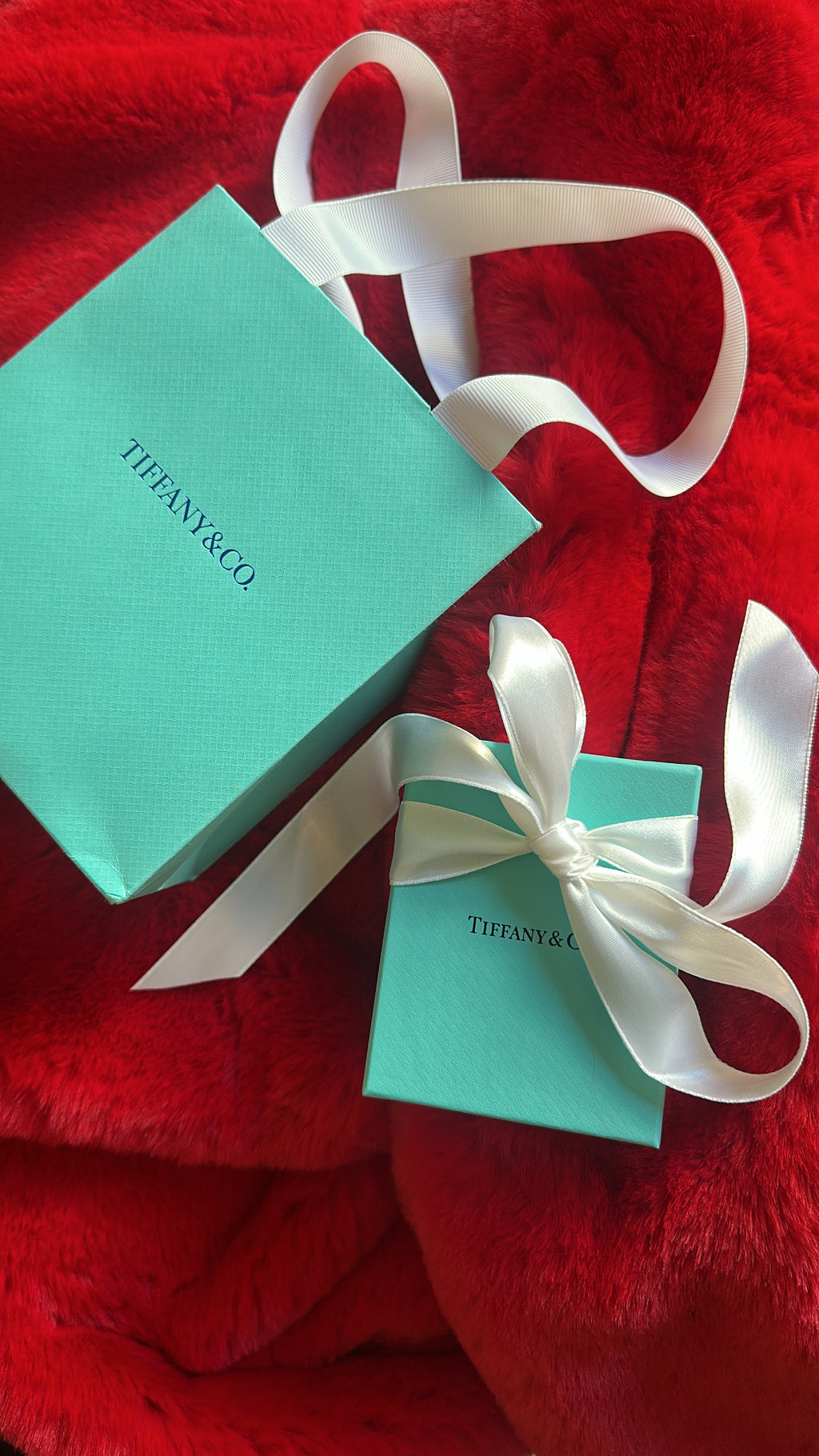 Tiffany & Co. Double Heart Tag Pendant in Silver, Mini