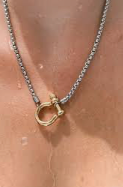 Jewelry Carabiner horse Bit- Charm-Wheat Chain Stainless Necklace: Two Tone